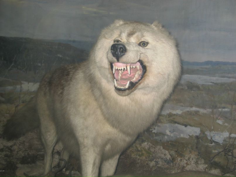 Маришка Харитонова 