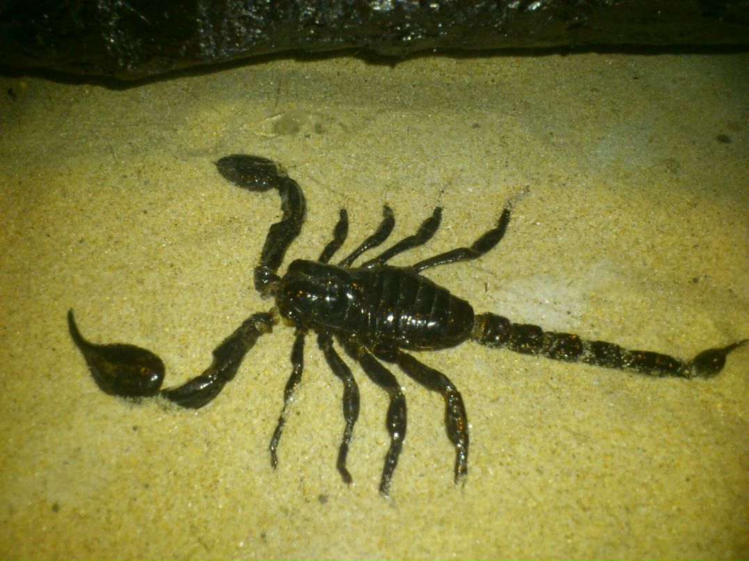 Александра Ковалёва | Santander