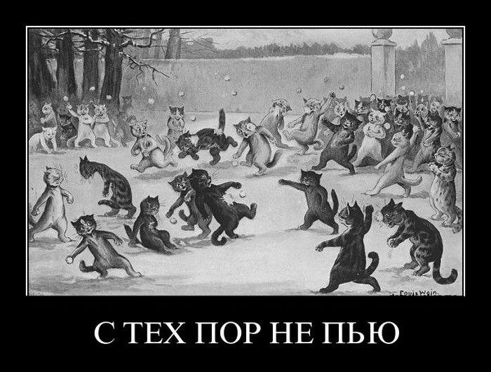 Михаил Левин | Санкт-Петербург