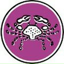 Андрей Рожков | Санкт-Петербург