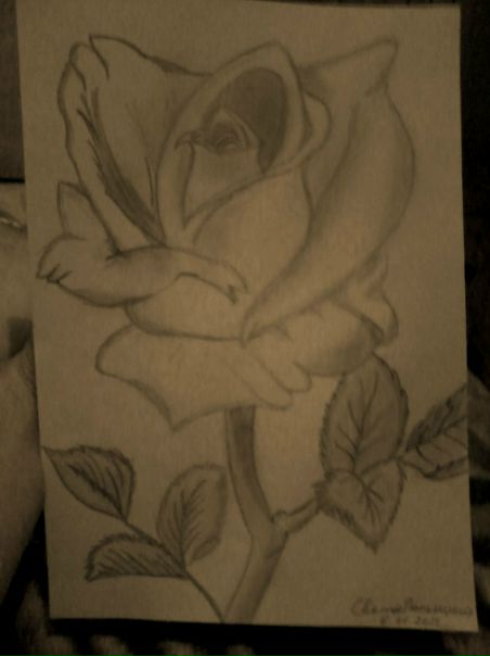 №123, Света Семенко, 29 лет, Могилёв №123, Света Семенко, 29 лет, Могилёв