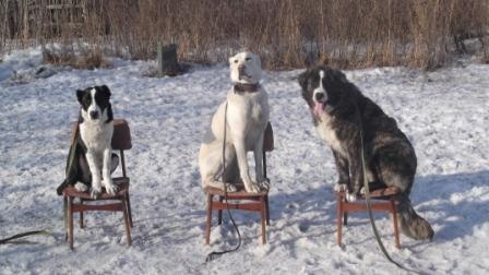 Надежда Дёмина | Новосибирск