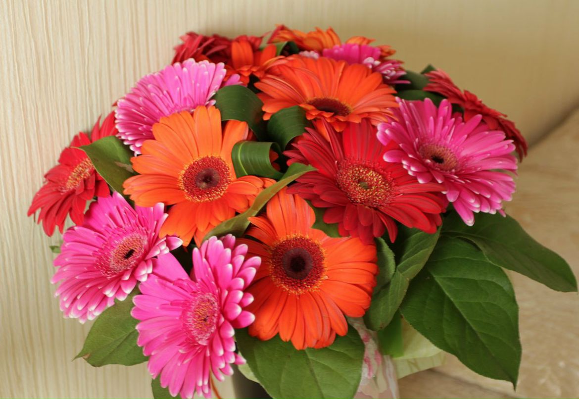 Светлана Губайдуллина | Уфа