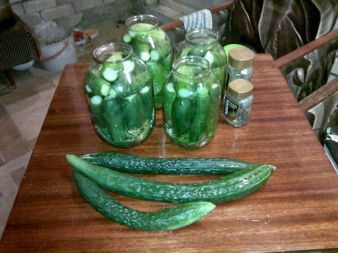 Ольга Шекурова Викторовна | Волгоград