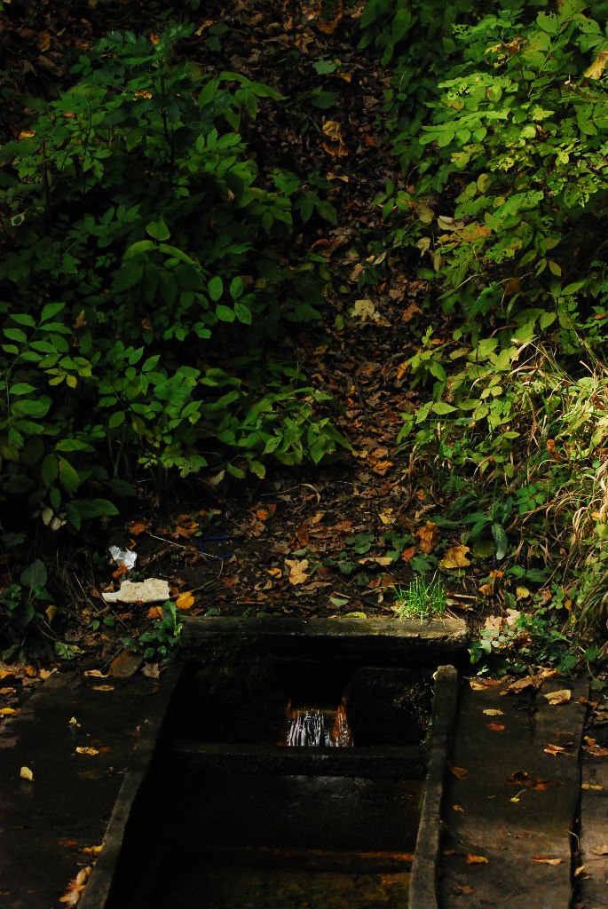 Варвара Колесник Demoni | Ростов-на-Дону