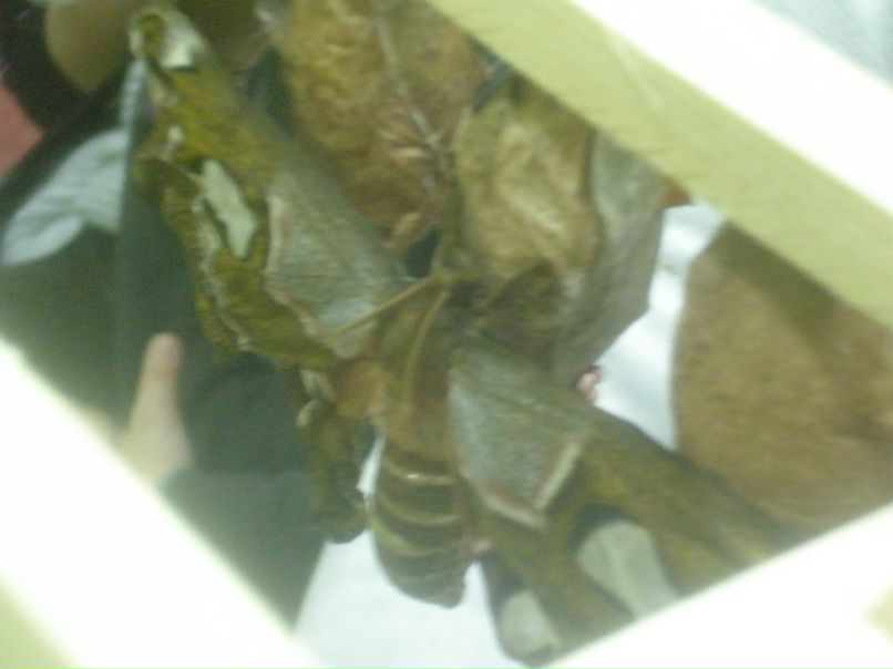 Айгуль Фаизова | Набережные Челны