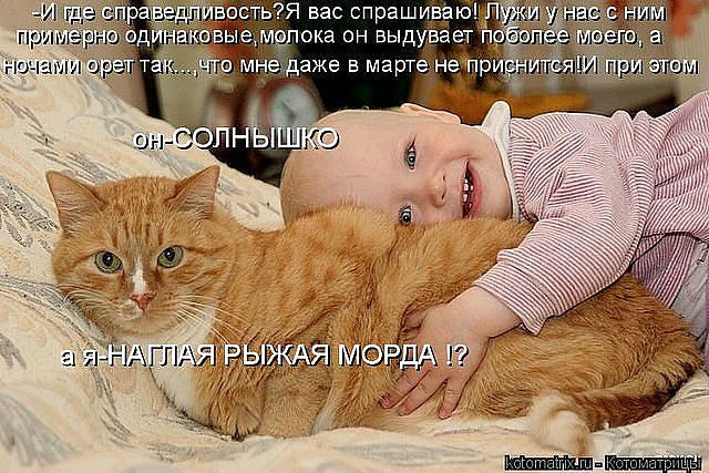 Алёна Замышляева | Луна