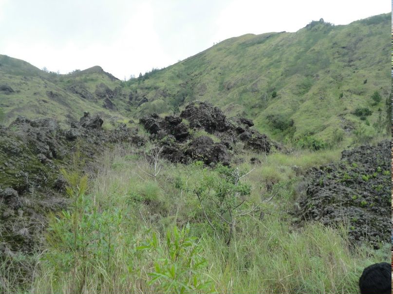 Сергей Жуков | Новосибирск