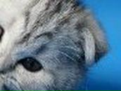 Валентина Лозаренко | Москва