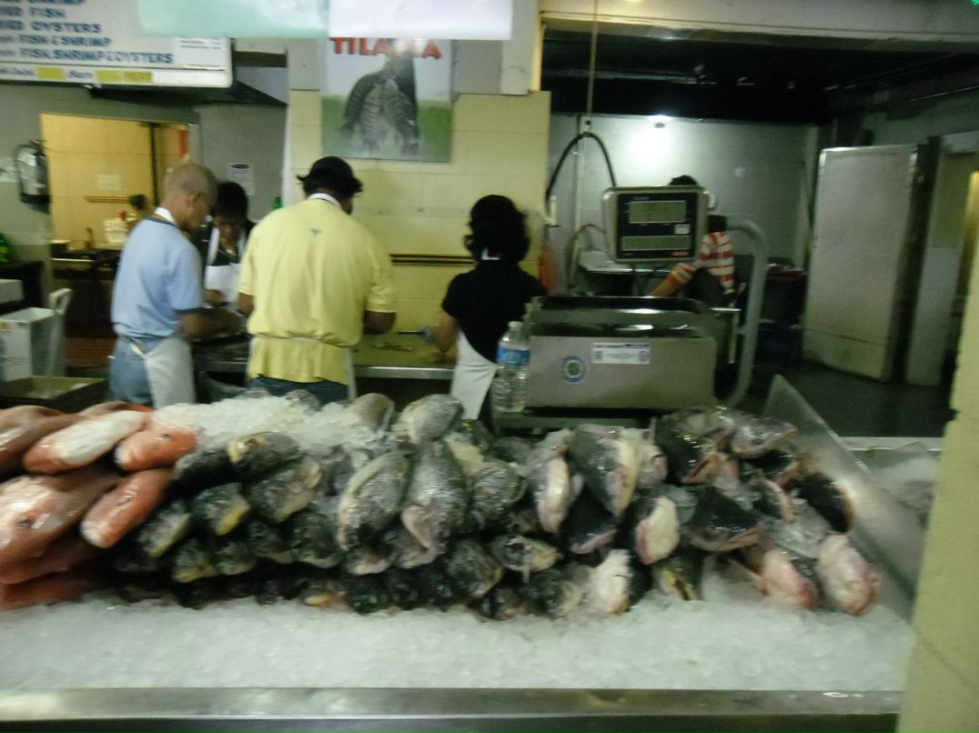 Евгений Морозов | Новороссийск