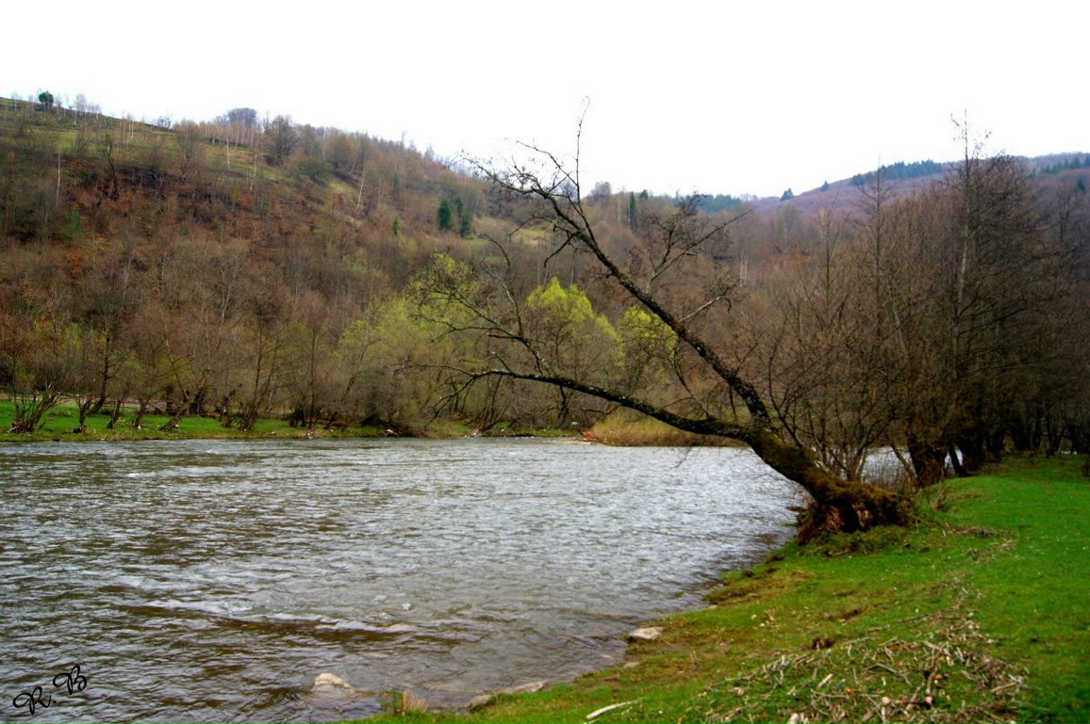 Роберт Боднар | Ужгород
