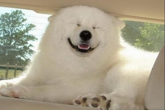 Маргарита Шишкова | Калининград