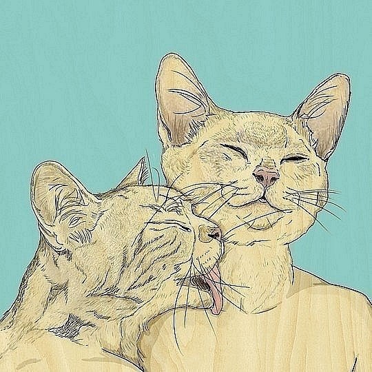 Катерина Тихонова | 