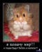 Марина Никитина фотография #15