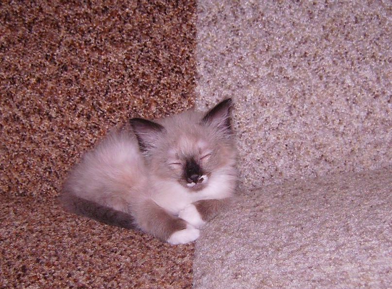 Илья Зюзин | Ярославль