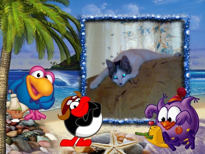 Фото профиля