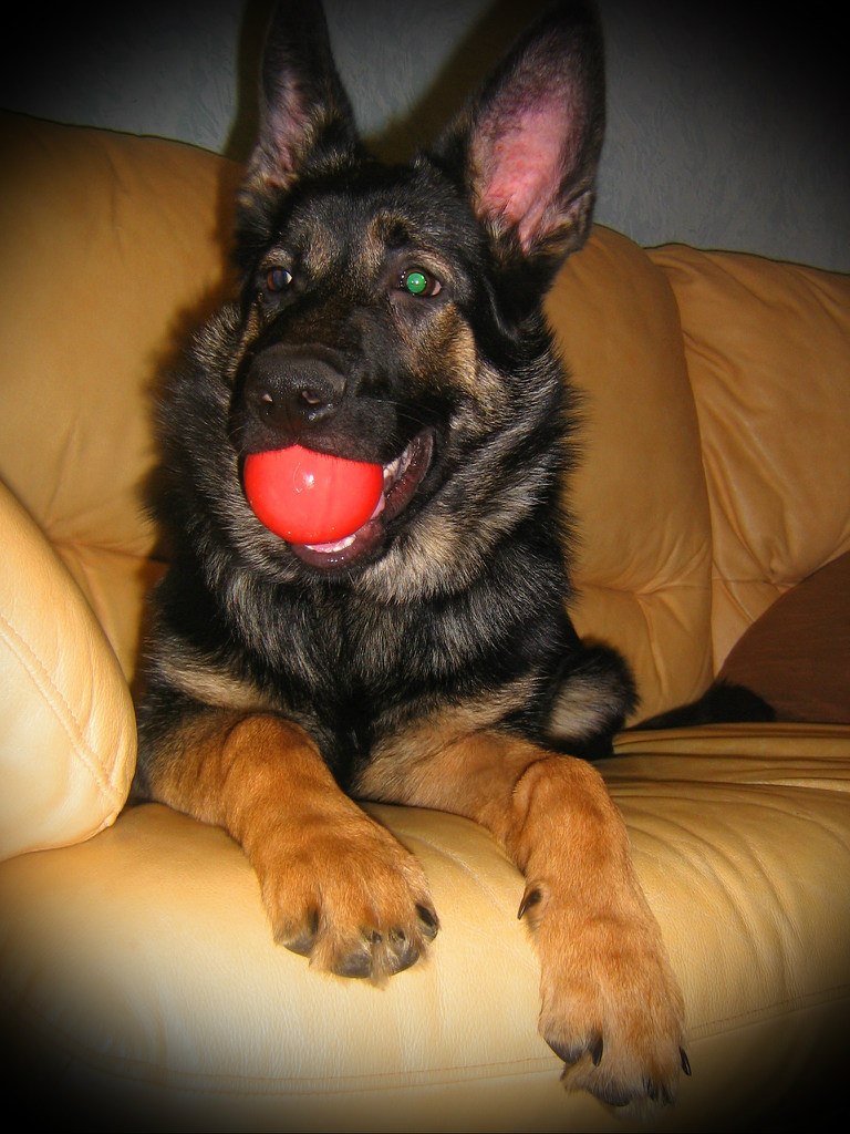 Екатерина Ищенко | Харьков