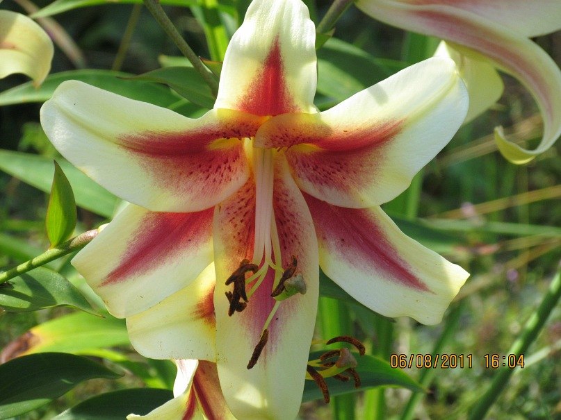 Ольга Маркелова | Санкт-Петербург