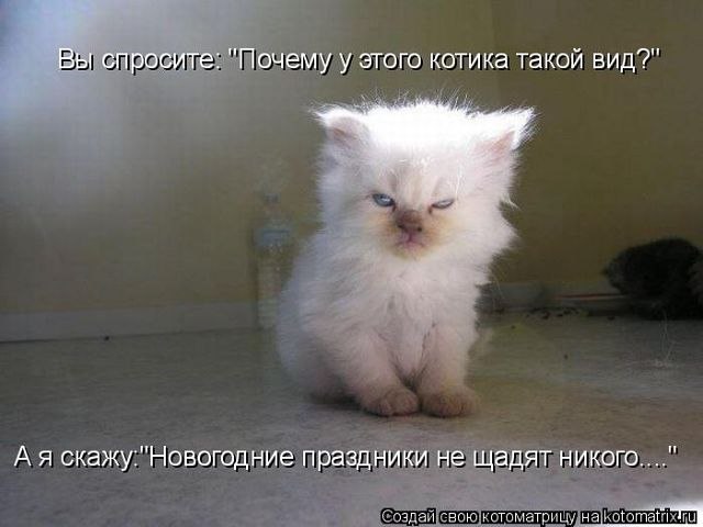 Евгений Романов | Москва