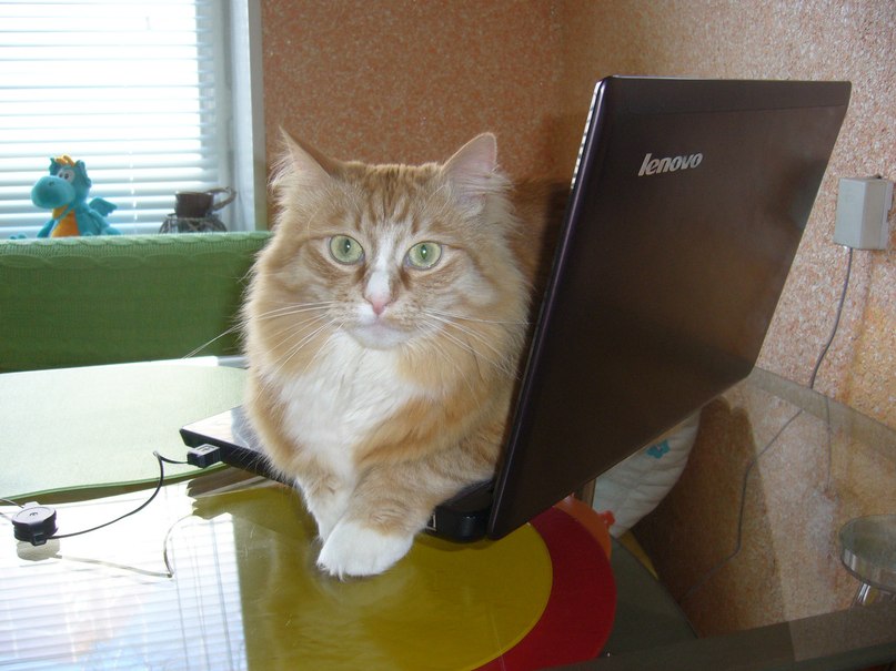 Андрей Соловьев | Санкт-Петербург