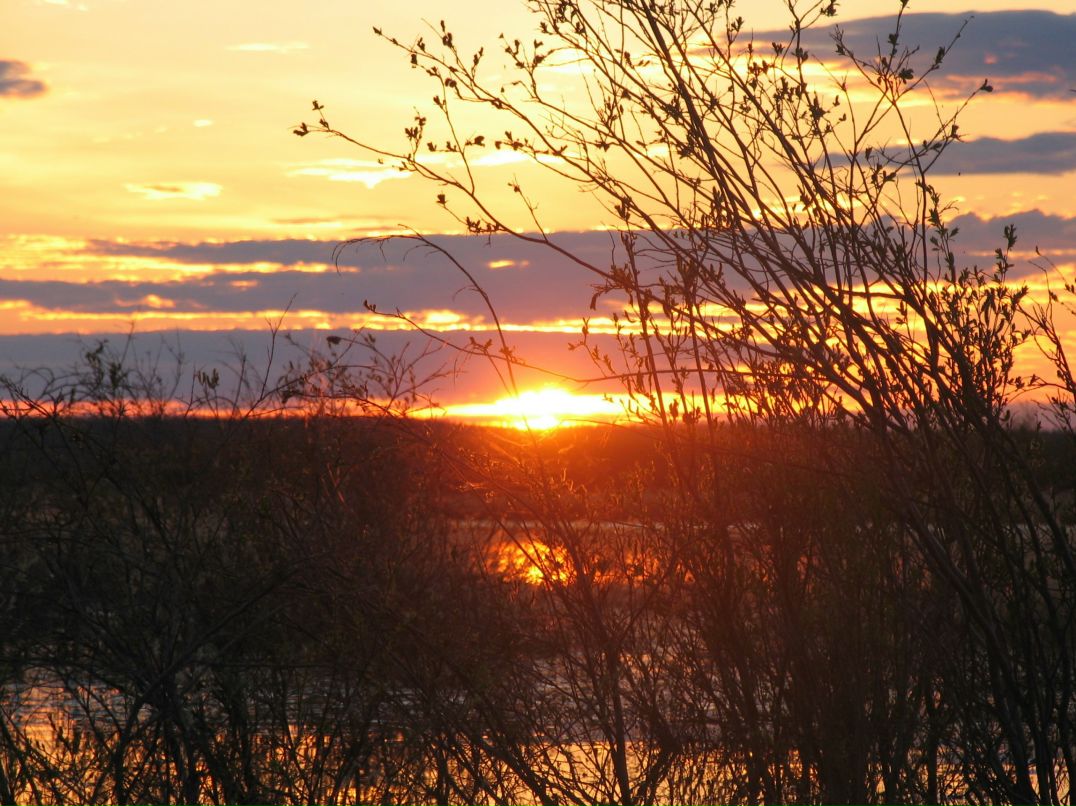 Матрена Прокопьева | Якутск