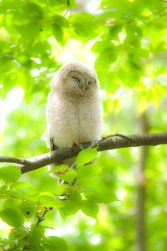 Ирина Румянцева О,О | Москва