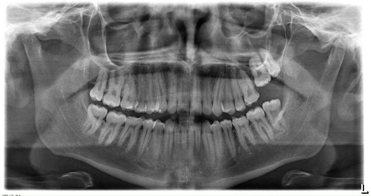 Илья Сидаков Synthetic Intelligent Device | Челябинск