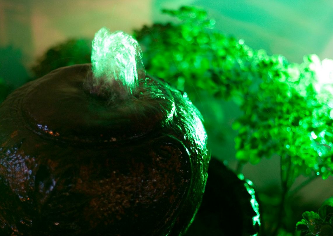 Игорь Ермиленко | Москва