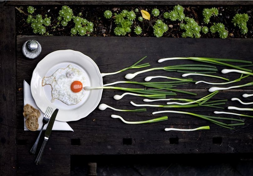 Tata Universe ♫♥♪ | Санкт-Петербург