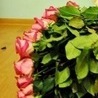 №46, Анжеліка Несен, 27 лет №46, Анжеліка Несен, 27 лет