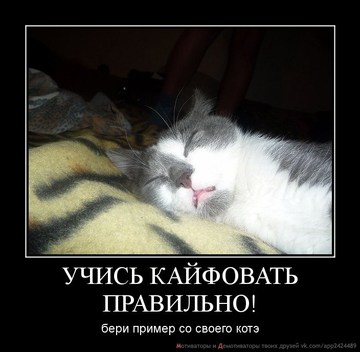 Михаил Карпов | Санкт-Петербург