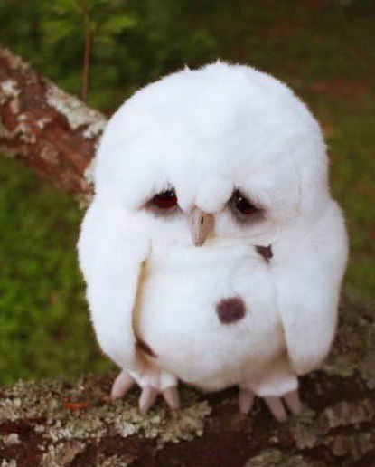 Катерина Червинская | Москва