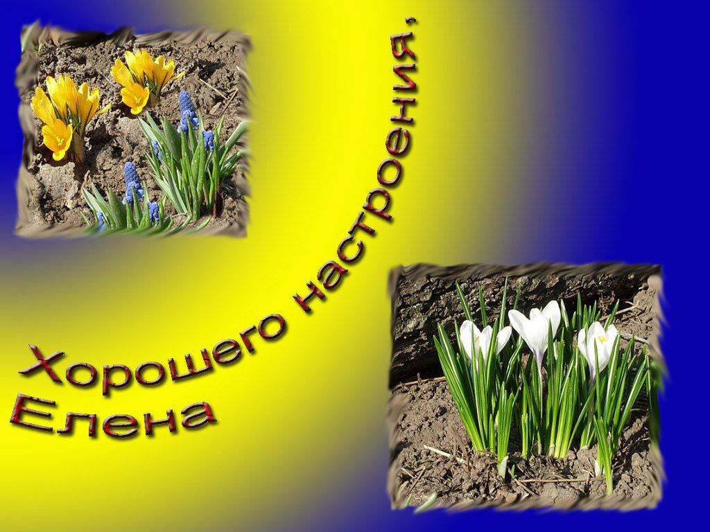 Антонина Куликова | Фролово