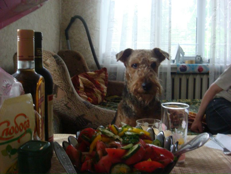 №2, Марина Грибинюкова, 56 лет, Санкт-Петербург №2, Марина Грибинюкова, 56 лет, Санкт-Петербург