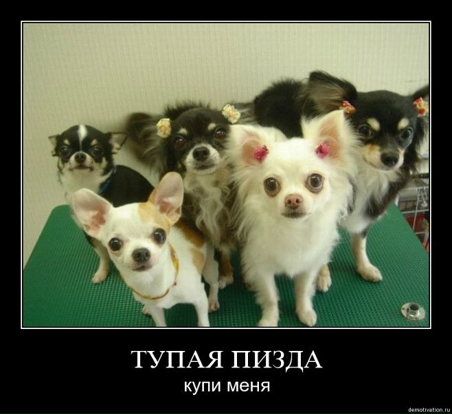 №115, Виктория Михайлова, Санкт-Петербург №115, Виктория Михайлова, Санкт-Петербург