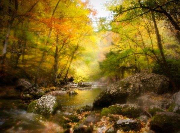 №66, Виктория Болькина, 37 лет, Киев №66, Виктория Болькина, 37 лет, Киев