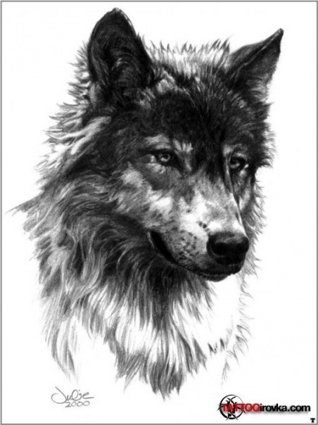 №29, Рамис Хайбрахманов, 26 лет, Лениногорск №29, Рамис Хайбрахманов, 26 лет, Лениногорск