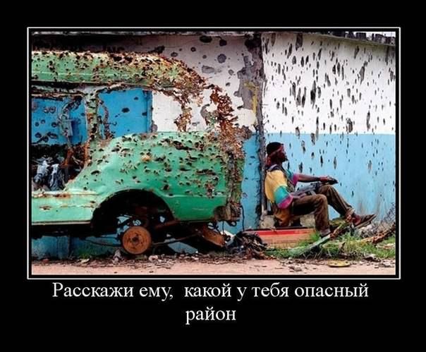 №1, Николай Шумилкин, 37 лет, Великий Новгород №1, Николай Шумилкин, 37 лет, Великий Новгород
