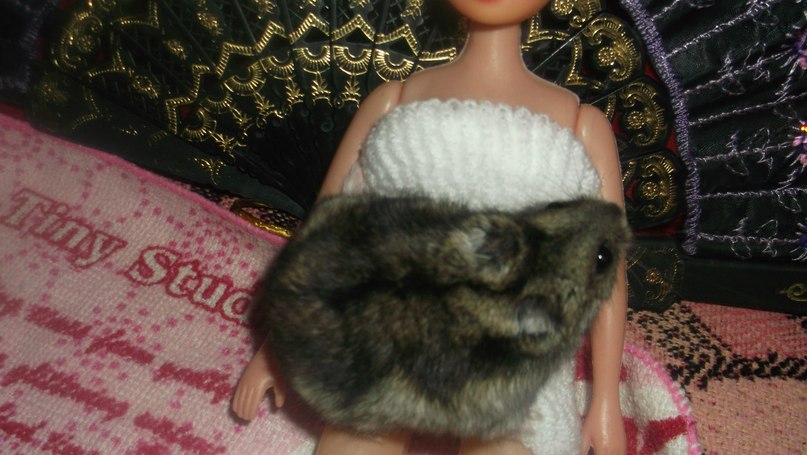 Кристина Гончарова | Кривой Рог