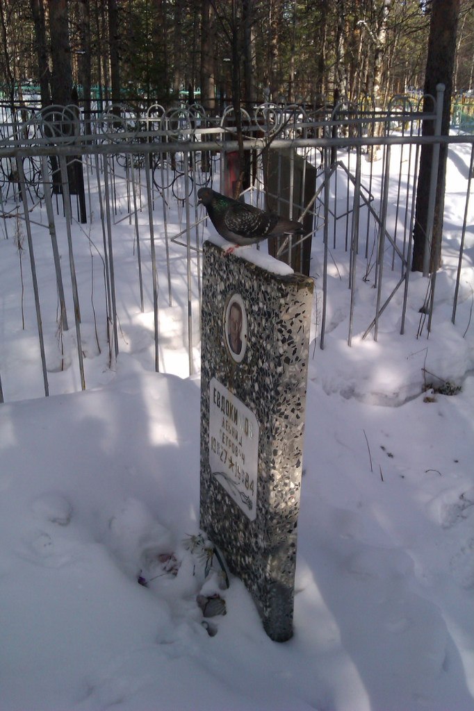 Сергей Бацуев | Петрозаводск