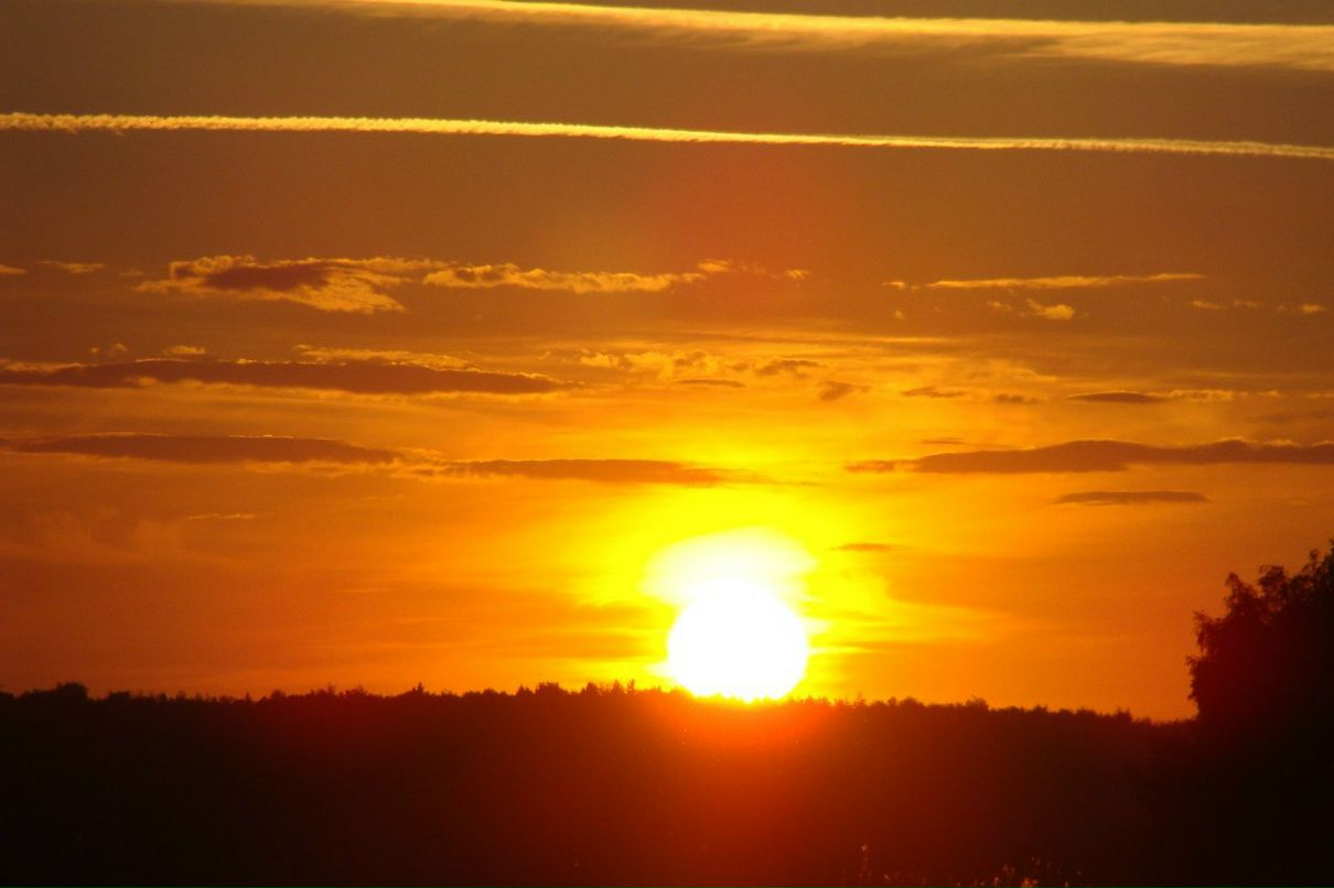 Наталья Меркулова | 