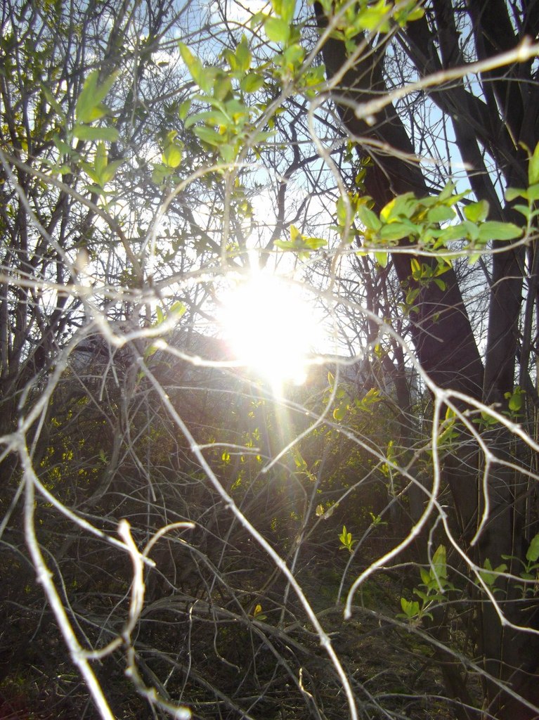 Вера Новосельцева | Одесса