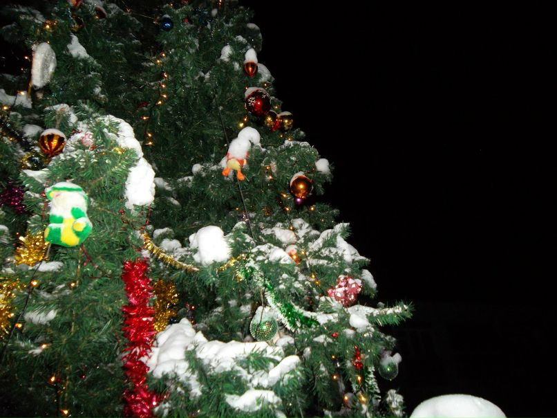 Анатолий Махов | Большая Вруда