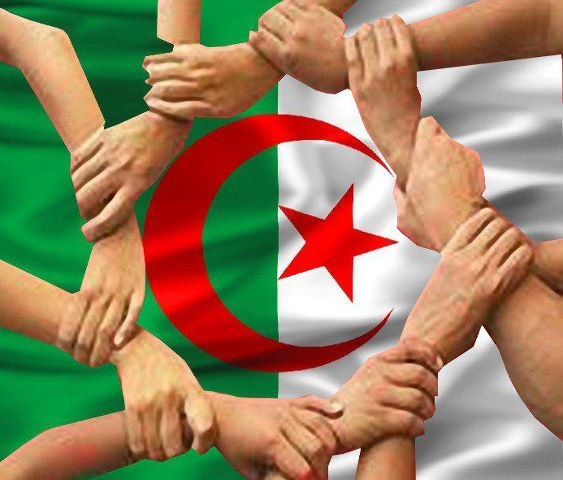 №40, Karim Zidan, Alger №40, Karim Zidan, Alger