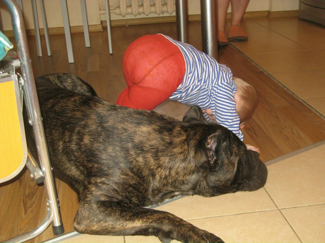 Наталия Чекалева | Череповец