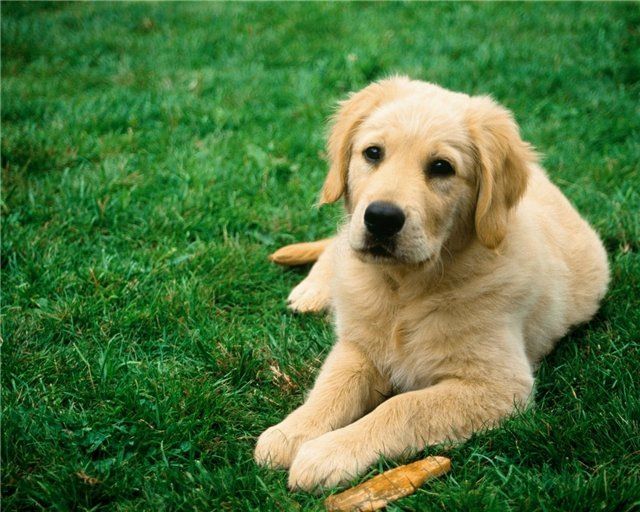 №10, Даша Тюрнева №10, Даша Тюрнева