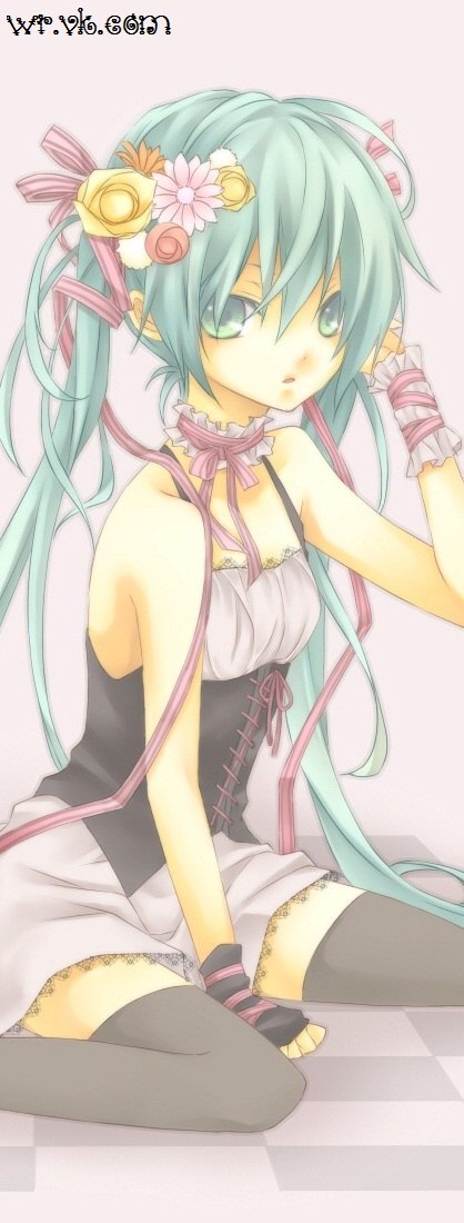 Winry Rockbell Lady Cat | Tokyo