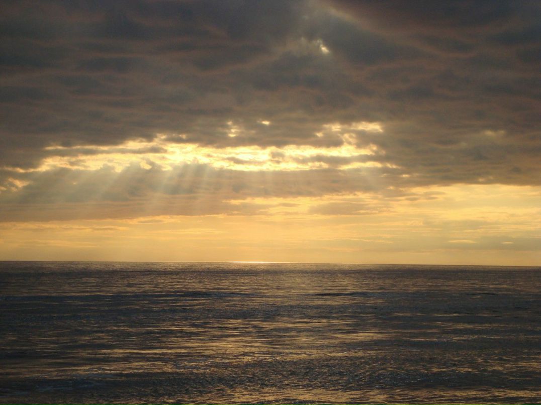 Артем Егоров | Новороссийск