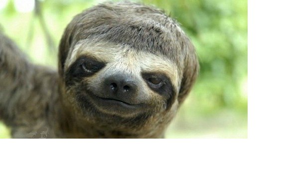 Антон Осетров | Санкт-Петербург