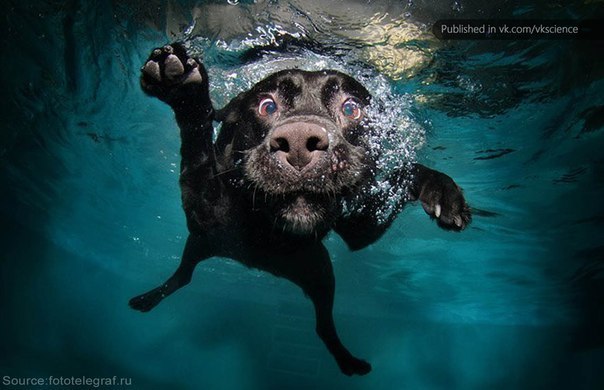 Александр Бирюков Lost in time | Кемерово